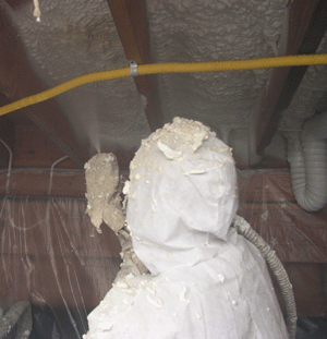  WI crawl space insulation
